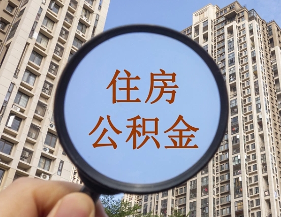 张家口退休后查不到公积金明细了吗（退休后公积金查询不到原因）